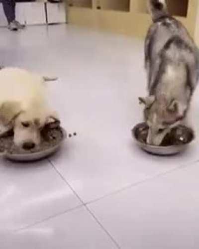 Same Thing Happens To Me, When I Skip A Meal...