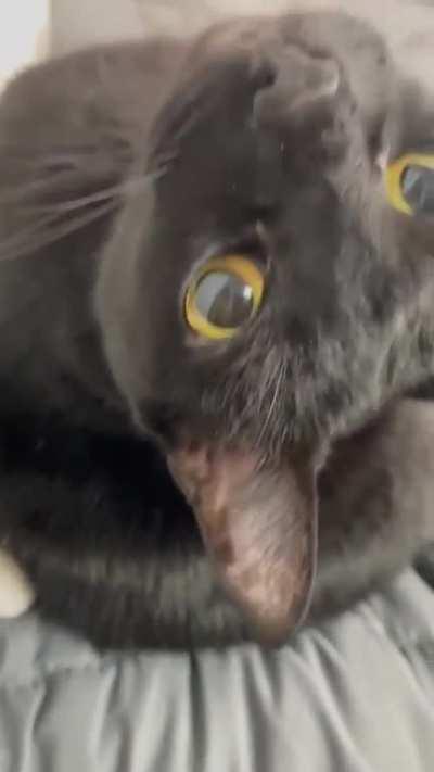 She's always staring at me...