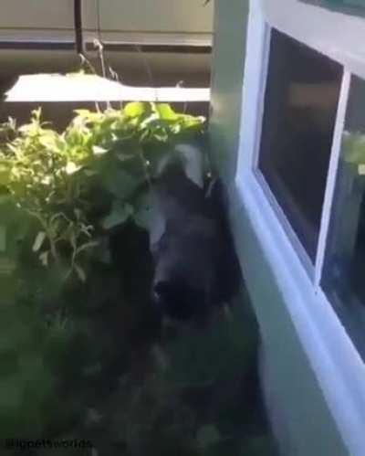 And the Oscar goes to….