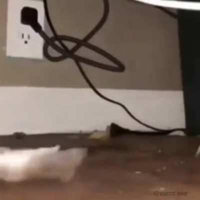 Discordmemes - Video #3864