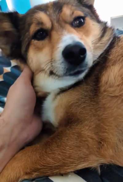 And a good morning to you