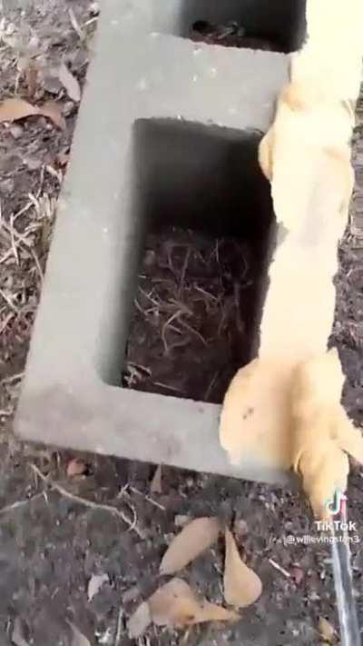 It's the main ingredient