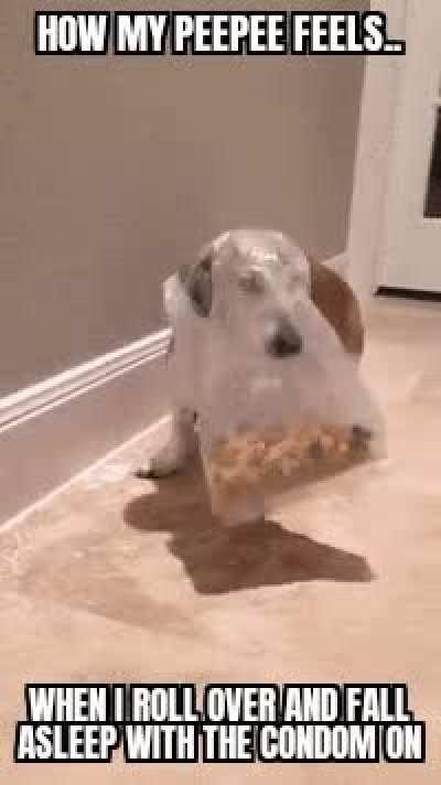 It was late, i was drunk.. I'm sorry lil fella