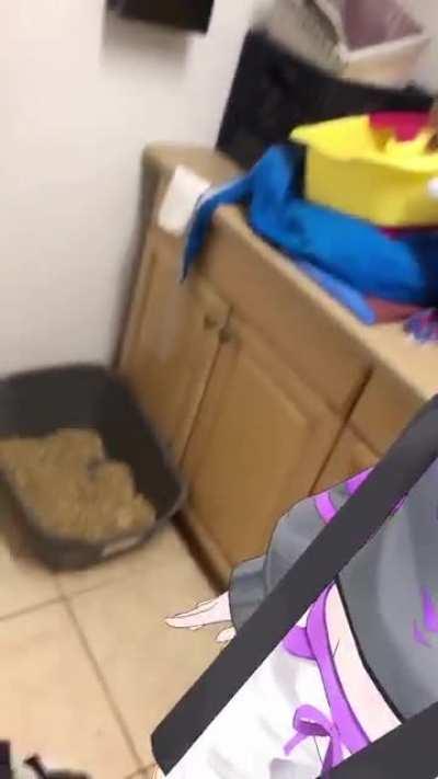 WTF was Mogu mogu Okayu doing in my house?!