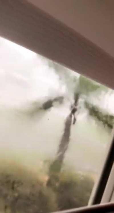 Florida east coast thunderstorm (sound up)