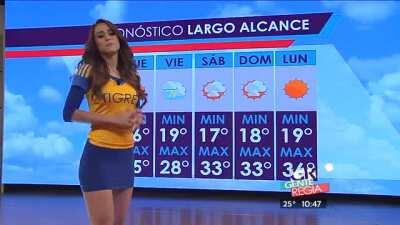 Yanet Garcia fan de Tigres