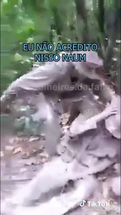 Greninja e mufinha no quartel