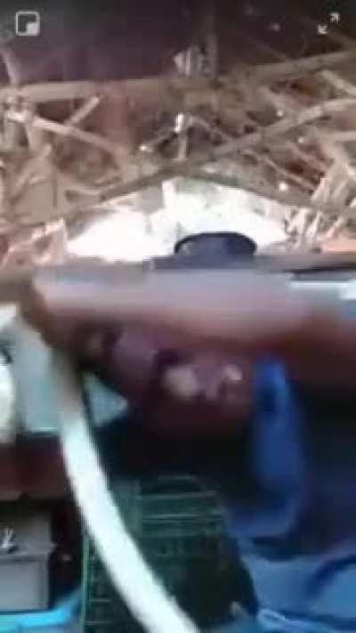 WCGW while playing with a snake.