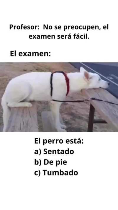 Acertijo que solo el puede resolver ☝🏽🐶