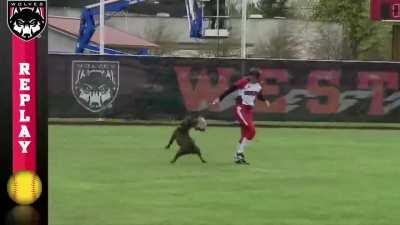 Most Interesting Women's Softball Game Ever