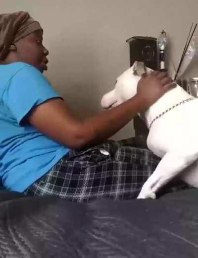 Дружелюбные знаки