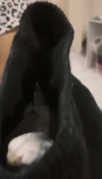 If he fits, he sits.