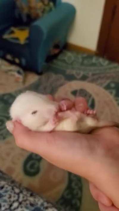 Little feets 😍❤