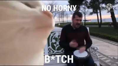 Dancing cat meme FULL SCREEN