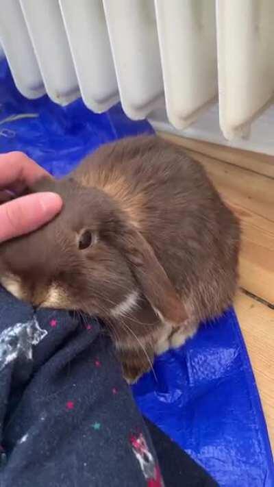 When they fall asleep on you, you have to sit still and let them sleep for at least 30 minutes. I don’t make the rules!