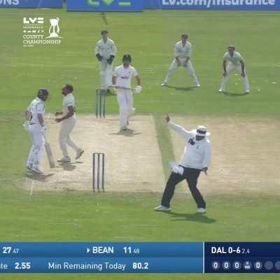 Rare moment of cricket 