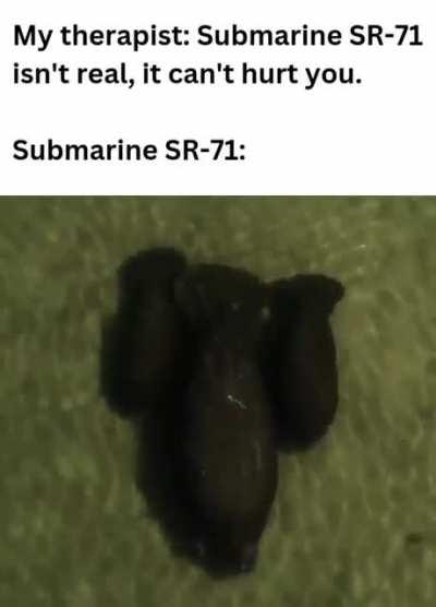 Don't tell r/thalassophobia