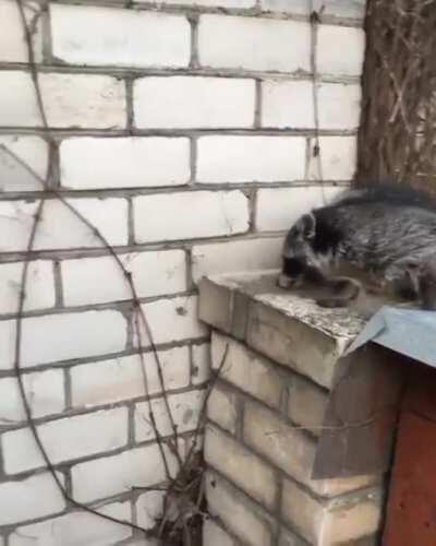 I would hold his hand 😭