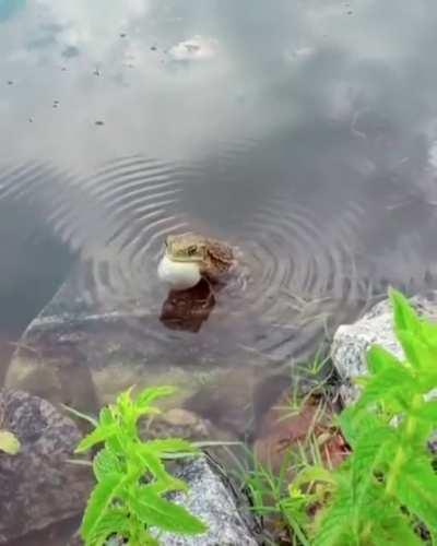 Everything is energy