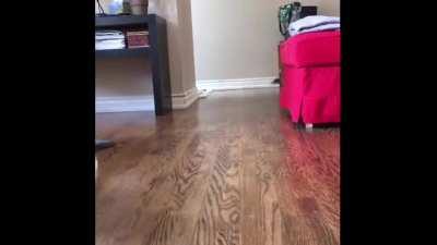 When it’s snack time! Too fast too furious.