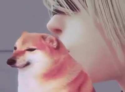 Oh boy i sure love cheems