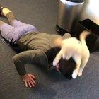 Pupper helping his hooman exercise