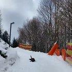 Dog testing this toboggan run in Austria (copyright Naturhotel-Forsthofgut)