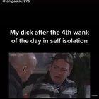 Self Isolation isn’t that easy anymore....