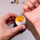 Growing a chicken in the duck egg.