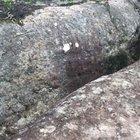 This crack I found while hiking