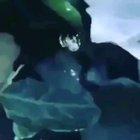 Experiments conducted on spiders.