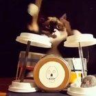 This is why the internet was created.