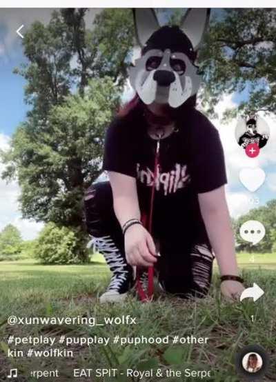 Pupcringe! Get your pupcringe! Now with bonus cringe! Step right up!