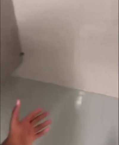 Can’t shit in Detroit