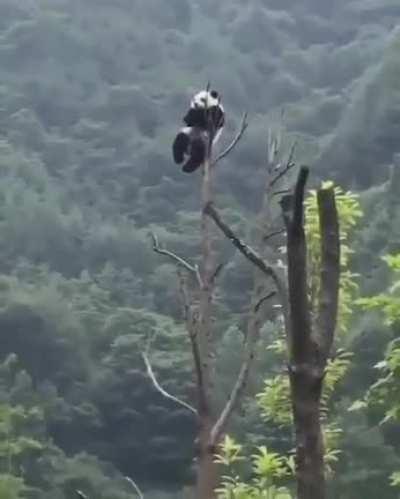 just in my little chair... swinging my legs... all alone...