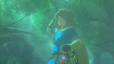 [BotW] Don't get the master sword with the hylian hood on