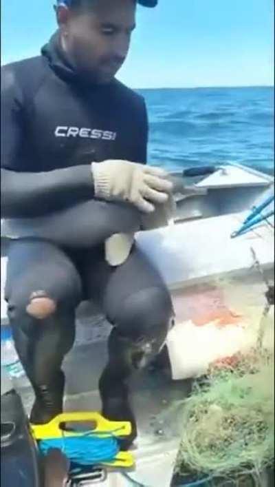 Caring dad nets a surprise gift for his sad son as he just lost his 13th goldfish