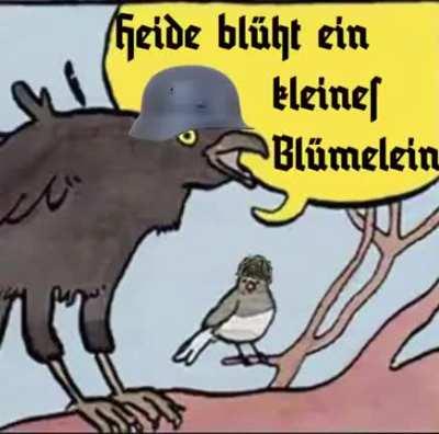 Sums up my experience in PS so far