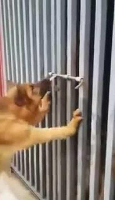 A friend in need is more than a friend indeed