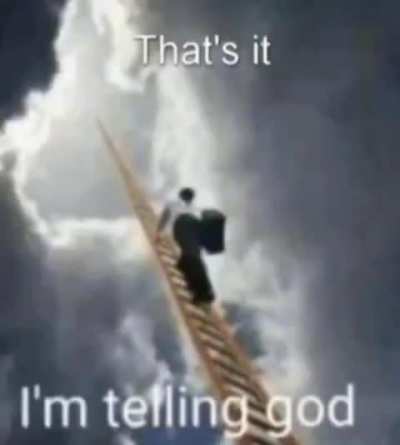 StanleyMOV - Video #3566