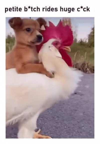 get your mind out of the gutters