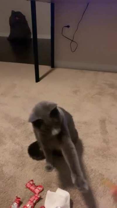 She wants the fry but can’t have it