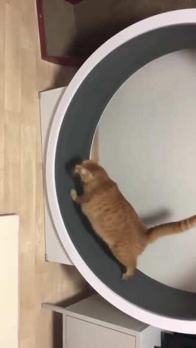 To the stars and beyond