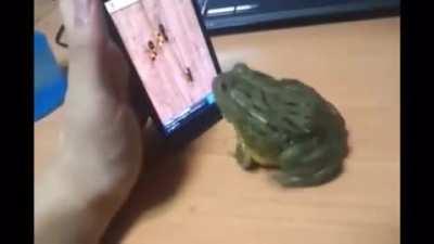 Ya que mire una imagen de un duende,me acorde de este video de mi galería