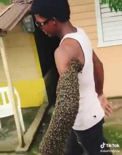 The beekeeper. Has bee minions.