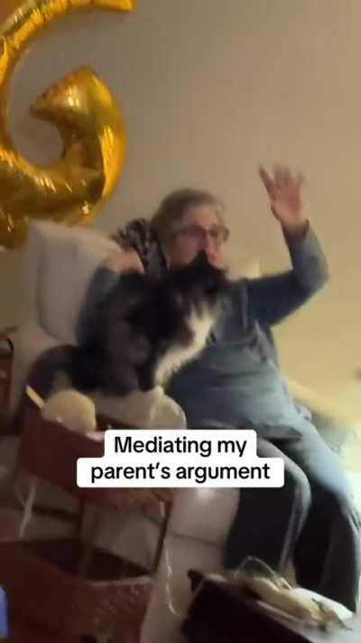 Mediating my parent’s argument