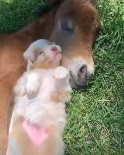 Friends they were babies