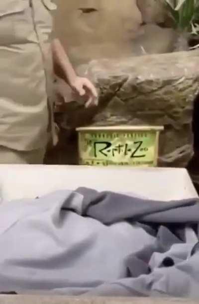 I don’t think their ok