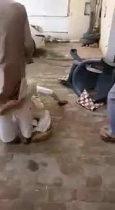 Alcohol or bhaang (mj edible)