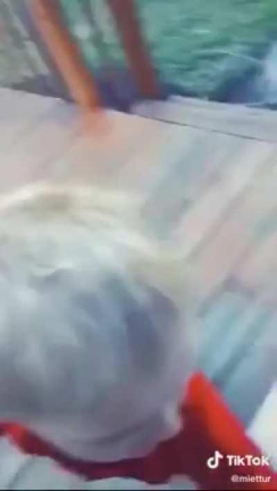 HMJB while I pet your titties